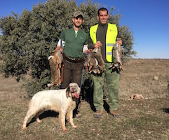 El madrileño, Ignacio del Pliego Garzón gana la semifinal Sur del Campeonato de España de Caza Menor con Perro